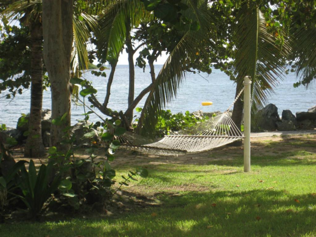 Tamarind Reef Resort Spa & Marina Christiansted Exteriér fotografie
