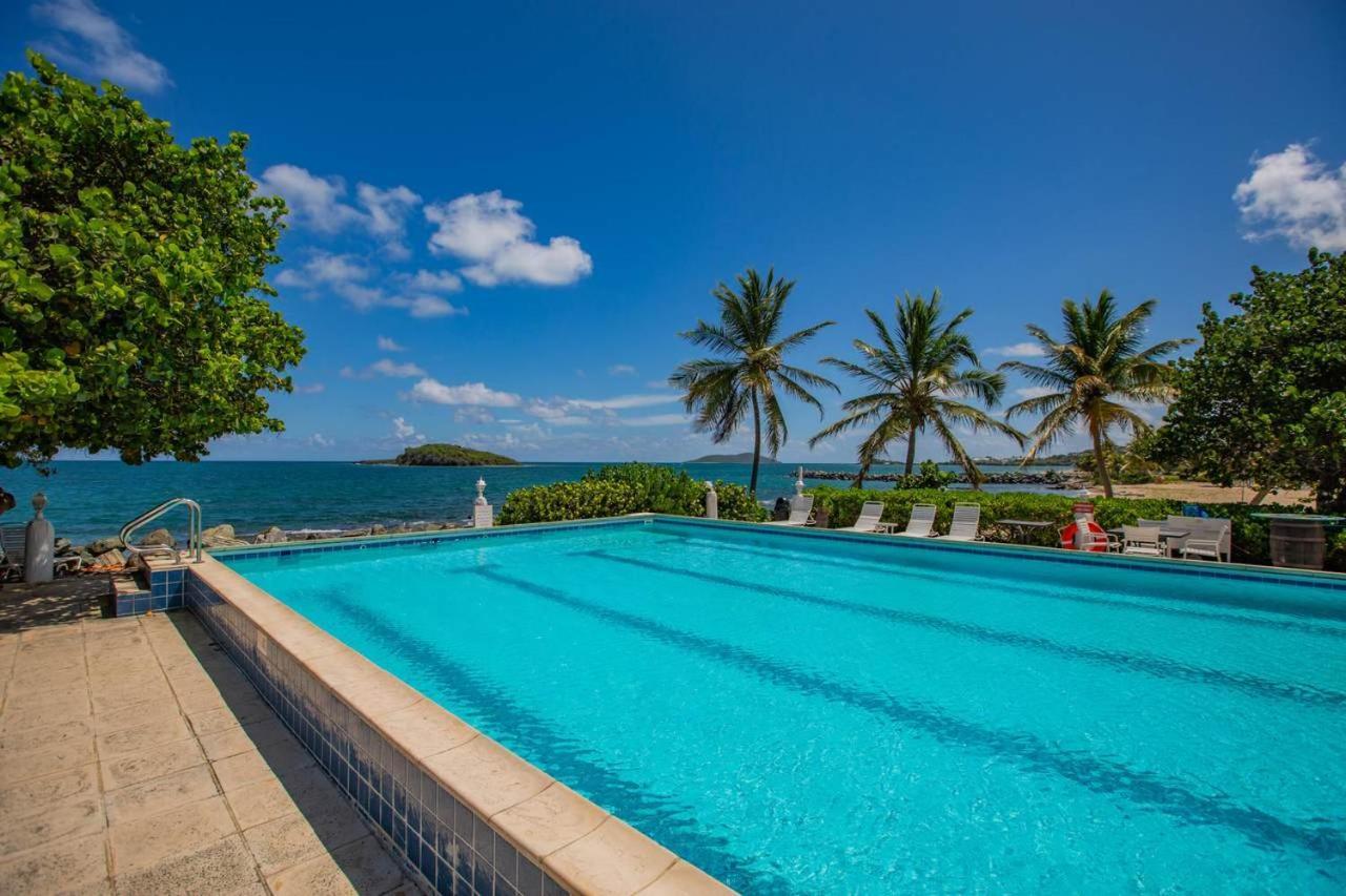 Tamarind Reef Resort Spa & Marina Christiansted Exteriér fotografie