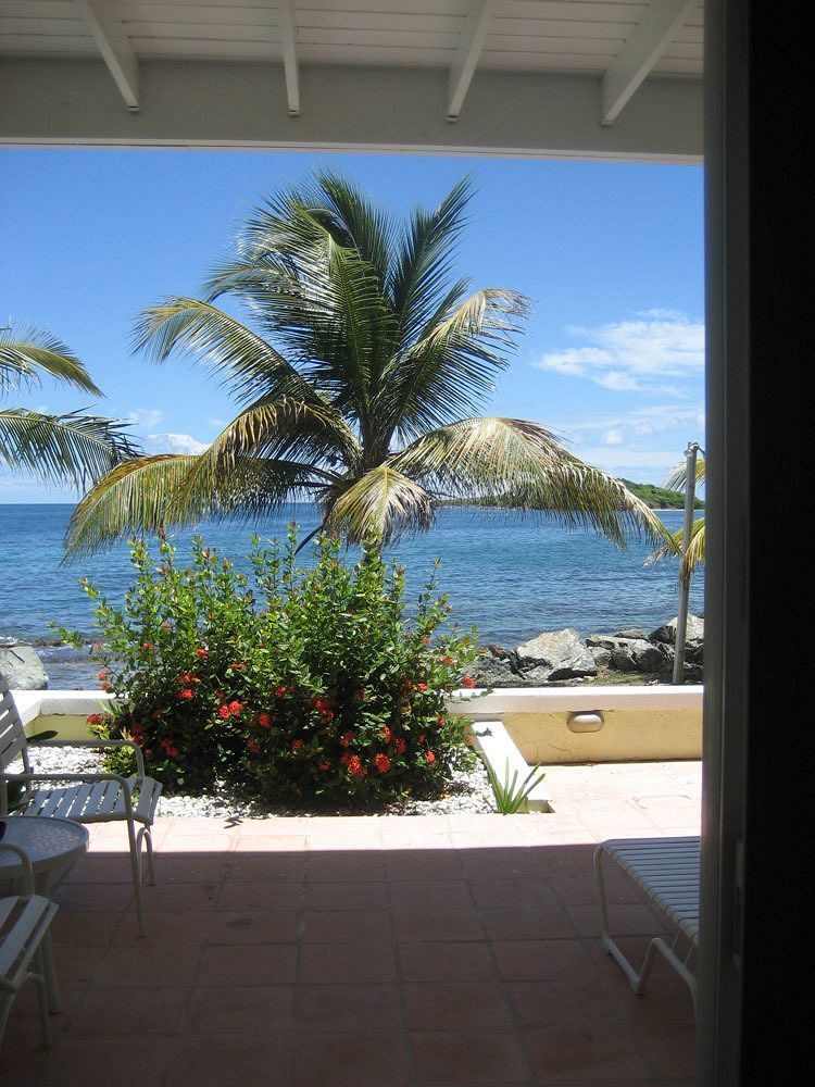 Tamarind Reef Resort Spa & Marina Christiansted Exteriér fotografie