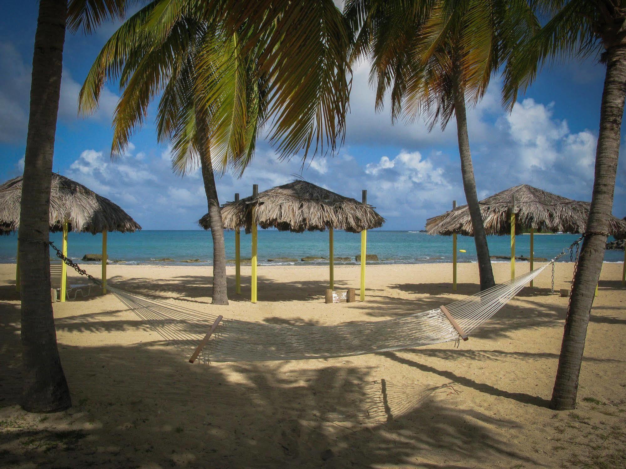 Tamarind Reef Resort Spa & Marina Christiansted Exteriér fotografie