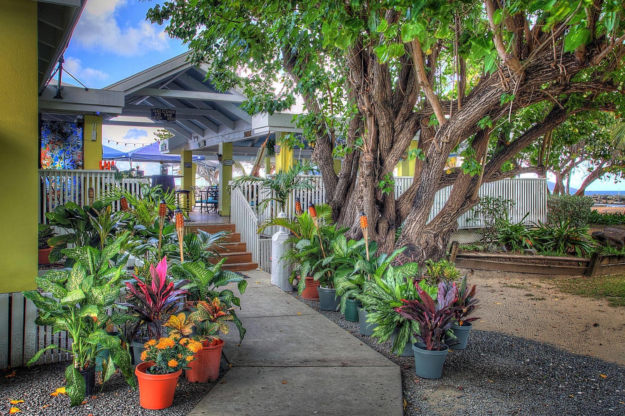 Tamarind Reef Resort Spa & Marina Christiansted Exteriér fotografie